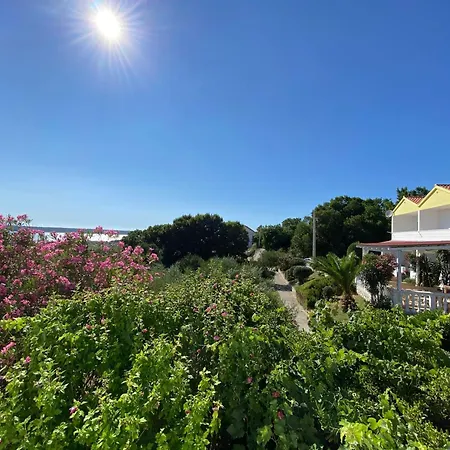 Apartment Fuer 22 Personen